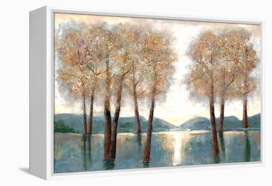 Approaching Woods-Doris Charest-Framed Stretched Canvas