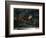 Apres Le Naufrage  (After a Shipwreck) (Aussi Appeles  Naufrages Abandonnes Dans Un Canot ) Les Re-Ferdinand Victor Eugene Delacroix-Framed Giclee Print