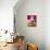 Apricot and Plum Compote-Danya Weiner-Photographic Print displayed on a wall