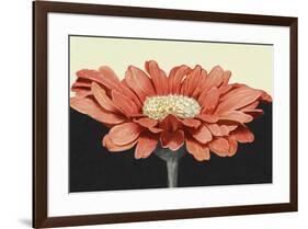 Apricot Flame I-Linda Wood-Framed Art Print