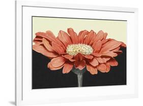 Apricot Flame I-Linda Wood-Framed Art Print