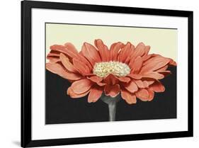 Apricot Flame I-Linda Wood-Framed Art Print