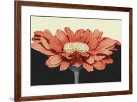 Apricot Flame I-Linda Wood-Framed Art Print