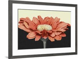 Apricot Flame I-Linda Wood-Framed Art Print