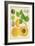 Apricot Study II-Melissa Wang-Framed Art Print