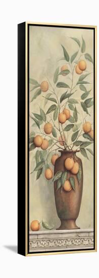 Apricotier-Daphne Brissonnet-Framed Stretched Canvas