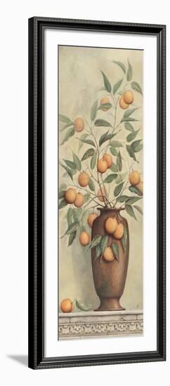 Apricotier-Daphne Brissonnet-Framed Art Print