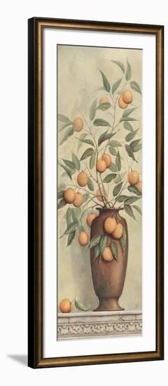 Apricotier-Daphne Brissonnet-Framed Art Print