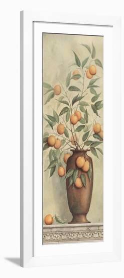 Apricotier-Daphne Brissonnet-Framed Art Print