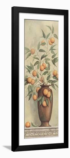 Apricotier-Daphne Brissonnet-Framed Art Print