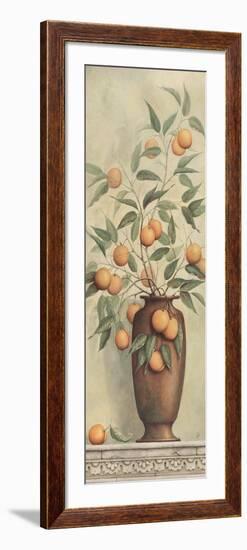 Apricotier-Daphne Brissonnet-Framed Art Print