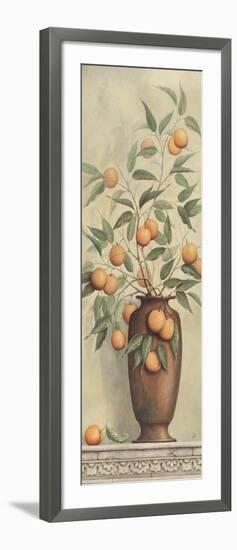 Apricotier-Daphne Brissonnet-Framed Art Print