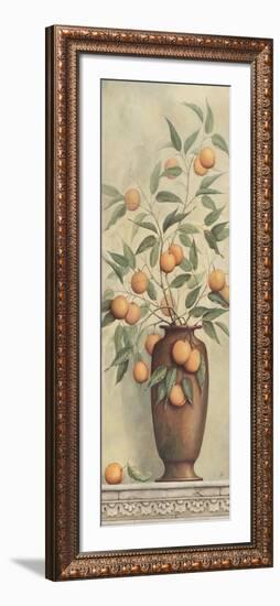 Apricotier-Daphne Brissonnet-Framed Art Print