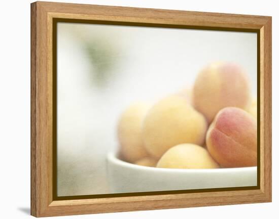 Apricots in a White Bowl Still Life-Steve Lupton-Framed Premier Image Canvas