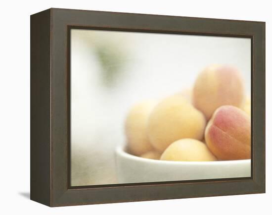 Apricots in a White Bowl Still Life-Steve Lupton-Framed Premier Image Canvas