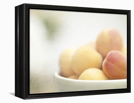 Apricots in a White Bowl Still Life-Steve Lupton-Framed Premier Image Canvas