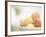 Apricots in a White Bowl Still Life-Steve Lupton-Framed Photographic Print