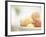 Apricots in a White Bowl Still Life-Steve Lupton-Framed Photographic Print