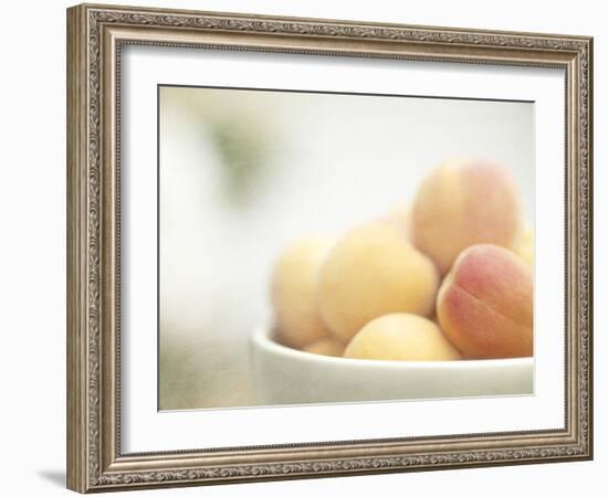 Apricots in a White Bowl Still Life-Steve Lupton-Framed Photographic Print