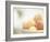 Apricots in a White Bowl Still Life-Steve Lupton-Framed Photographic Print