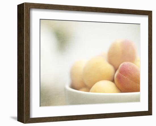 Apricots in a White Bowl Still Life-Steve Lupton-Framed Photographic Print