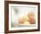 Apricots in a White Bowl Still Life-Steve Lupton-Framed Photographic Print