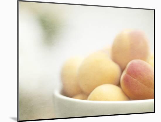 Apricots in a White Bowl Still Life-Steve Lupton-Mounted Photographic Print