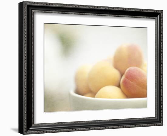 Apricots in a White Bowl Still Life-Steve Lupton-Framed Photographic Print