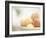 Apricots in a White Bowl Still Life-Steve Lupton-Framed Photographic Print