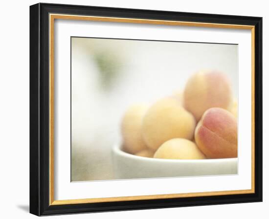 Apricots in a White Bowl Still Life-Steve Lupton-Framed Photographic Print