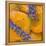 Apricots with Lavender, Detail-C. Nidhoff-Lang-Framed Premier Image Canvas