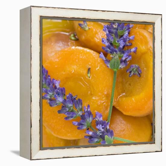 Apricots with Lavender, Detail-C. Nidhoff-Lang-Framed Premier Image Canvas