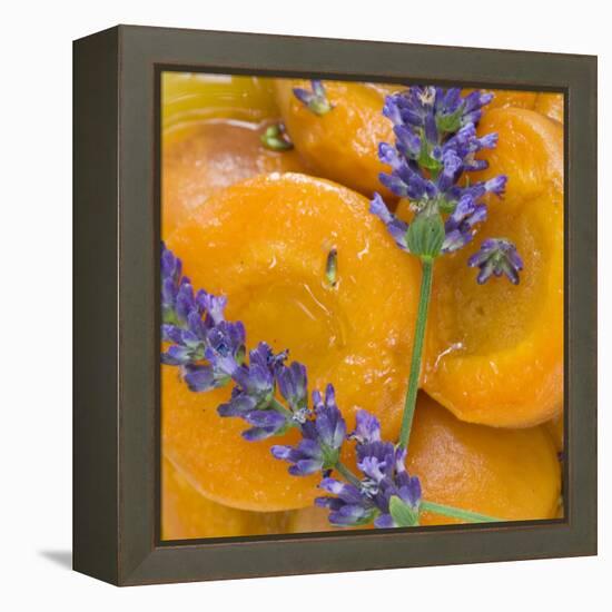 Apricots with Lavender, Detail-C. Nidhoff-Lang-Framed Premier Image Canvas