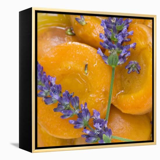 Apricots with Lavender, Detail-C. Nidhoff-Lang-Framed Premier Image Canvas