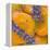 Apricots with Lavender, Detail-C. Nidhoff-Lang-Framed Premier Image Canvas
