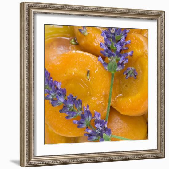 Apricots with Lavender, Detail-C. Nidhoff-Lang-Framed Photographic Print