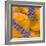 Apricots with Lavender, Detail-C. Nidhoff-Lang-Framed Photographic Print