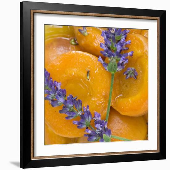 Apricots with Lavender, Detail-C. Nidhoff-Lang-Framed Photographic Print