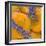Apricots with Lavender, Detail-C. Nidhoff-Lang-Framed Photographic Print