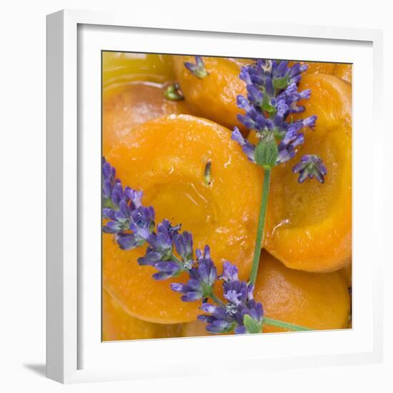 Apricots with Lavender, Detail-C. Nidhoff-Lang-Framed Photographic Print