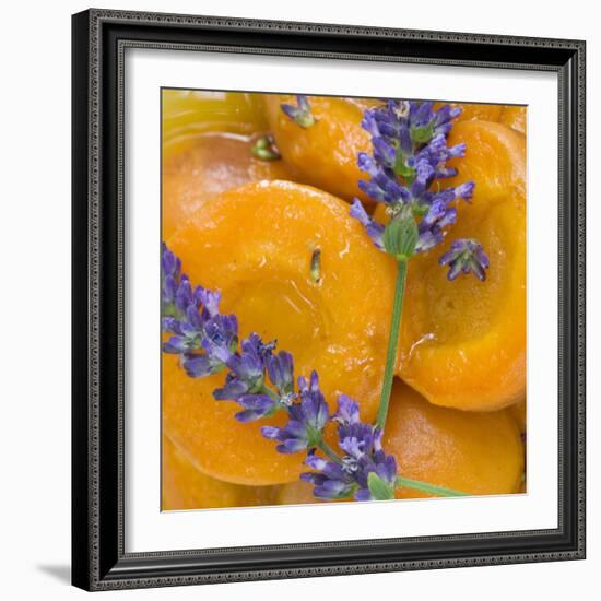 Apricots with Lavender, Detail-C. Nidhoff-Lang-Framed Photographic Print