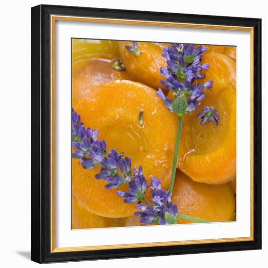 Apricots with Lavender, Detail-C. Nidhoff-Lang-Framed Photographic Print
