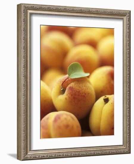 Apricots with One Leaf-Vladimir Shulevsky-Framed Photographic Print