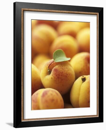 Apricots with One Leaf-Vladimir Shulevsky-Framed Photographic Print