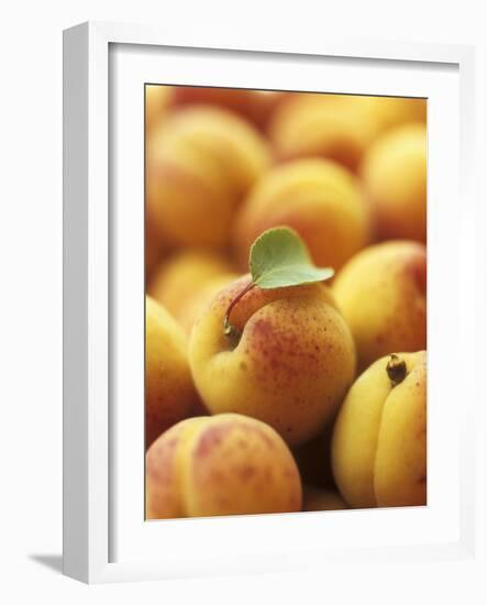 Apricots with One Leaf-Vladimir Shulevsky-Framed Photographic Print