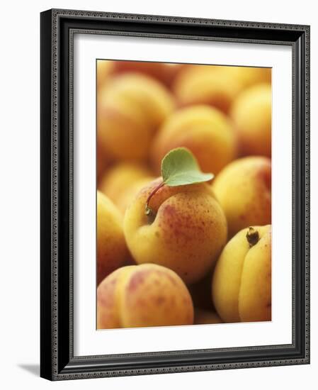 Apricots with One Leaf-Vladimir Shulevsky-Framed Photographic Print