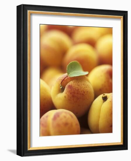 Apricots with One Leaf-Vladimir Shulevsky-Framed Photographic Print