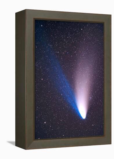 April 7, 1997 - Come Hale-Bopp-null-Framed Premier Image Canvas