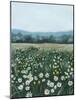 April Flowerfield II-Grace Popp-Mounted Art Print