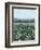 April Flowerfield II-Grace Popp-Framed Premium Giclee Print